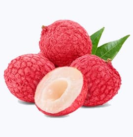 Litchi