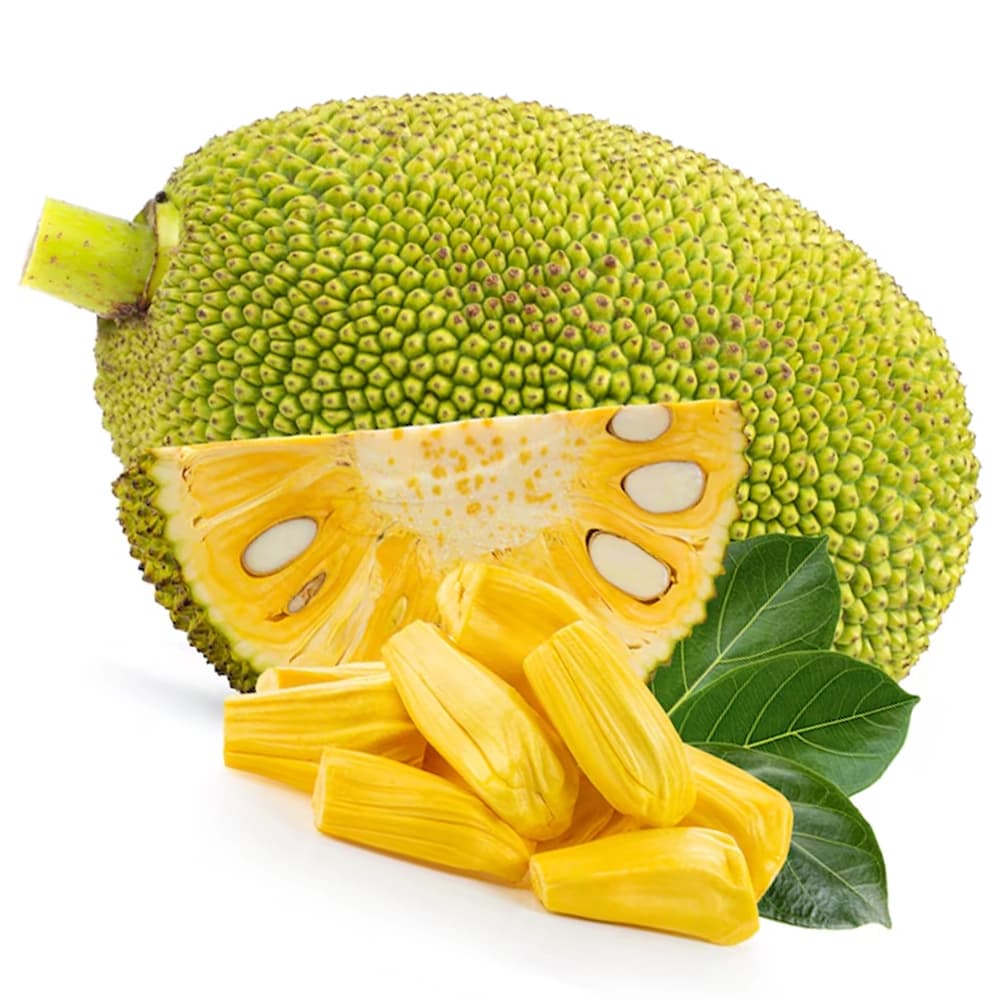 RealFruit - Jackfruit